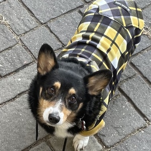 Fundraising Page: Angela Noelle